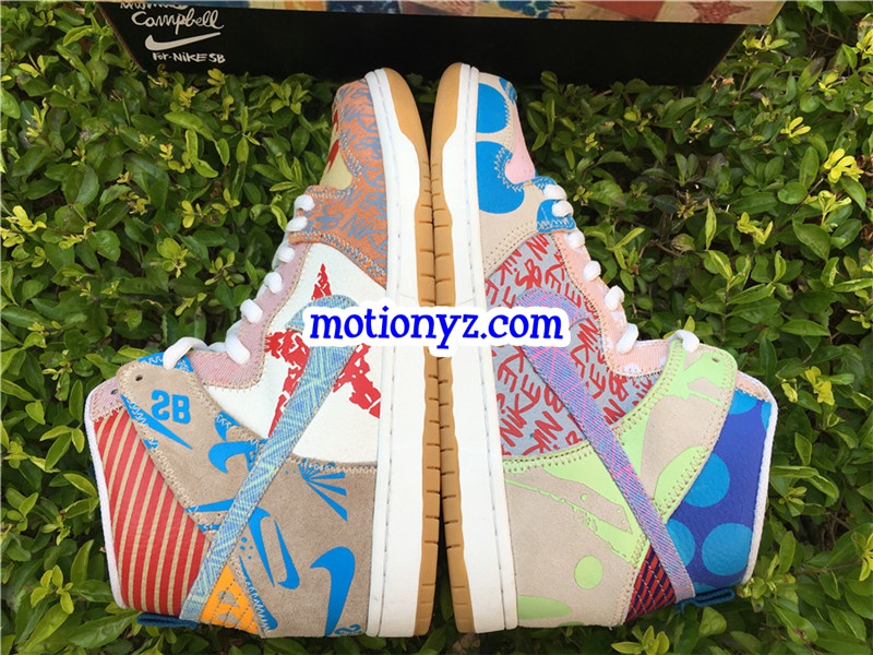 Nike Dunk SB TC X What The Dunk